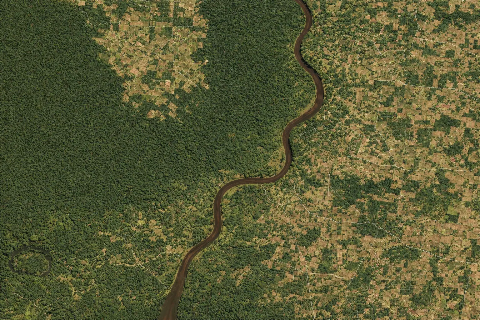 Planet Labs constellation Earth-observation imagery monitoring the Amazon rainforest from low Earth orbit.